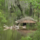 Illustration for article titled Record-breaking Flood Surges Down Florida River